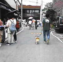 ���U����