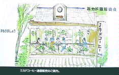 �p���t���b�g����