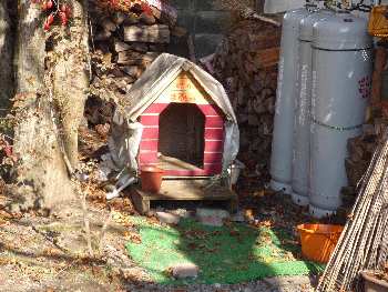 ���U�����H