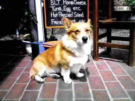 ���X���ς��܂����B