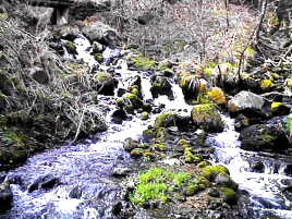 ��͂�������