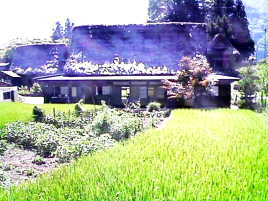 ���q�����W��