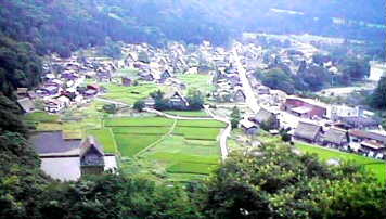 ���E������Y