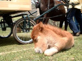 �`�r�����