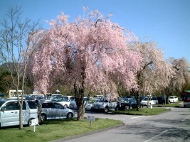 �v�����X���ԏ�̂������